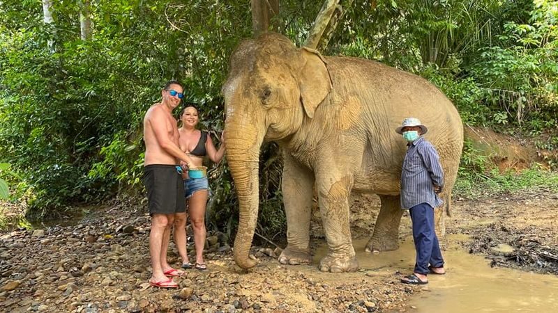 Half-Day Tour to Krabi Elephant Care House & Swimming at Huay To Waterfall - A local Thai lunch before the waterfall