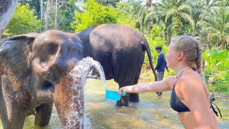 Half-Day Tour to Krabi Elephant Care House & Swimming at Huay To Waterfall - Swimming at Huay To Waterfall