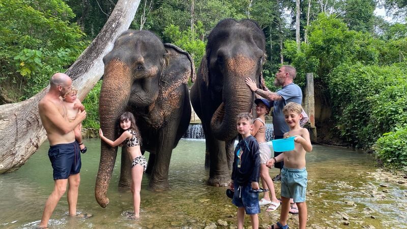 Half-Day Tour to Krabi Elephant Care House & Swimming at Huay To Waterfall - Pickup, timing and what to pack