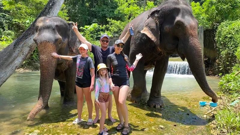Half Day Tour to Krabi Elephant Care House & Wat Tham Suea (Tiger Cave Temple) - From the jungle trail to the elephants