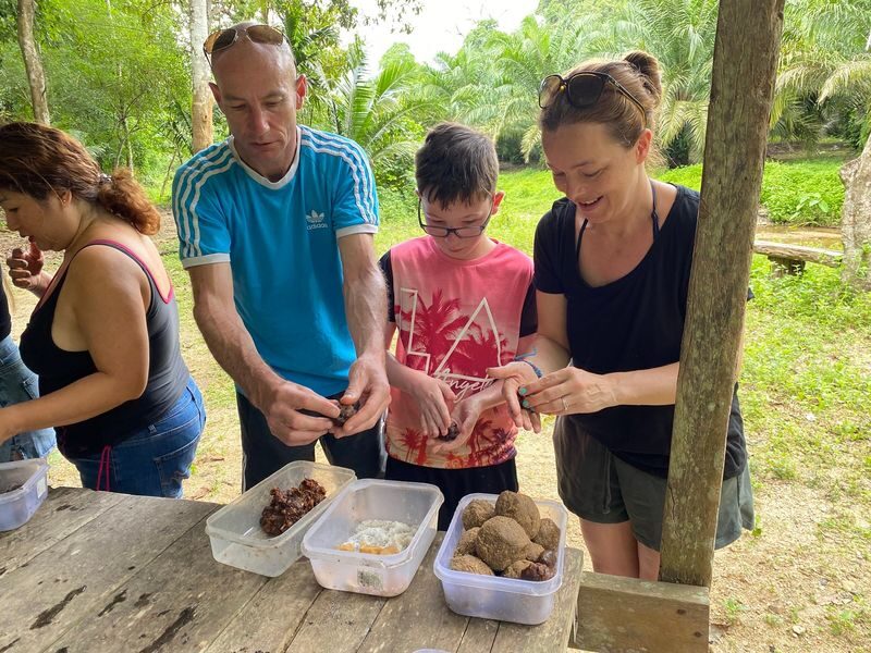 Half Day Tour to Krabi Elephant Care House & Wat Tham Suea (Tiger Cave Temple) - Mud, water and a closer look at elephant care