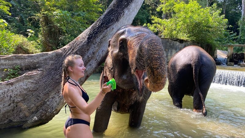 Half Day Tour to Krabi Elephant Care House & Wat Tham Suea (Tiger Cave Temple) - Wat Tham Suea, explored at your own pace