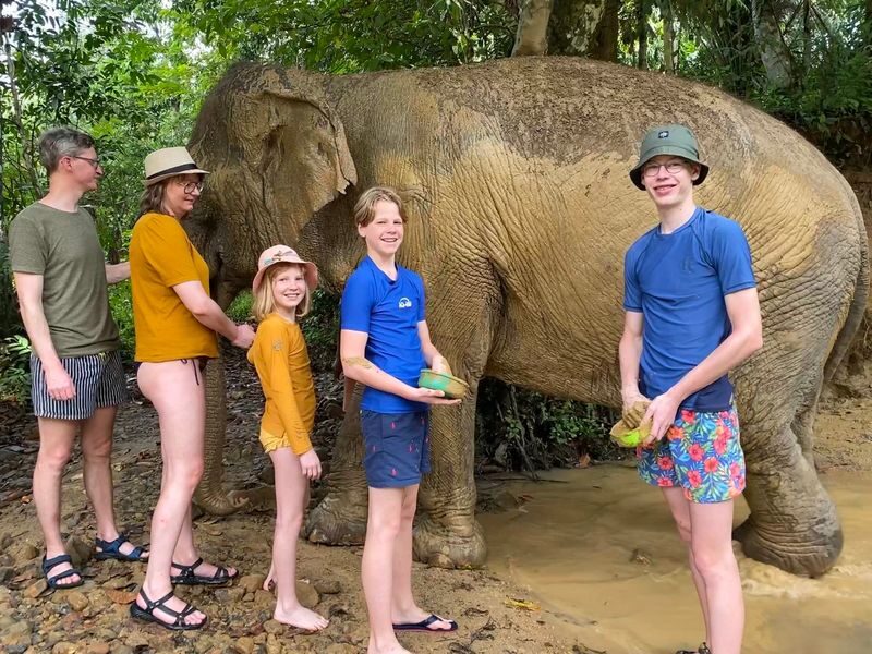 Half Day Tour to Krabi Elephant Care House & Wat Tham Suea (Tiger Cave Temple) - What the price covers, and what it is worth