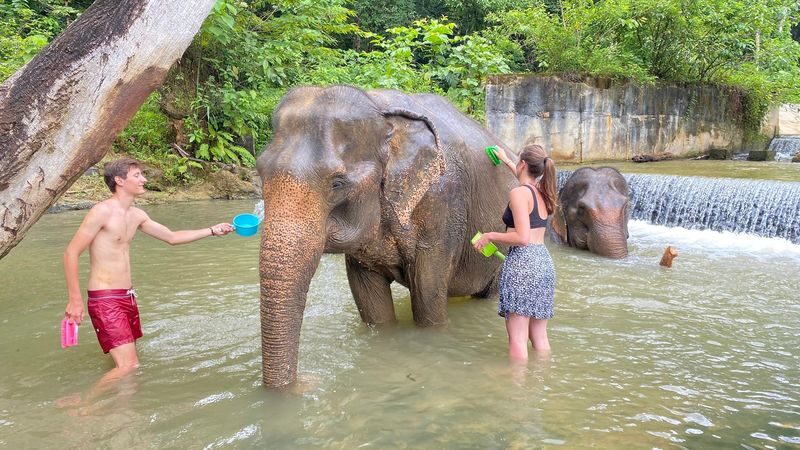 Half Day Tour to Krabi Elephant Care House & Wat Tham Suea (Tiger Cave Temple) - Who will enjoy this Krabi half-day