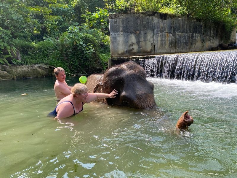 Half Day Tour to Krabi Elephant Care House & Wat Tham Suea (Tiger Cave Temple) - Should you book it?