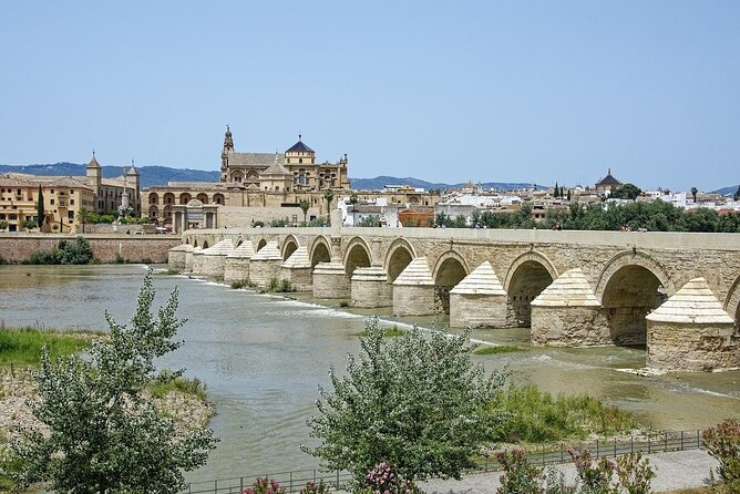 Half Day Tour to Mosque-Cathedral of Cordoba and Jewish Quarter - Additional Info