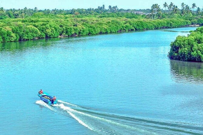 Half Day Tour to Muthurajawela, Lagoon, Dutch Canal and Mangroves - Transportation, Duration, and Comfort