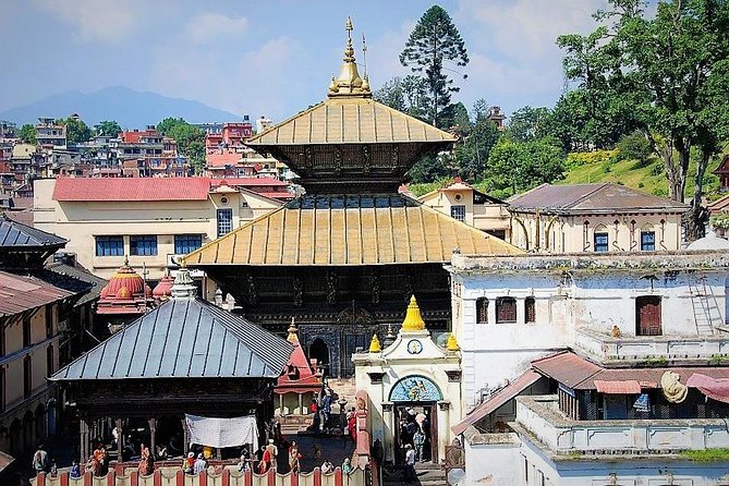 Half-Day Tour to Pashupatinath Temple - Tour Highlights
