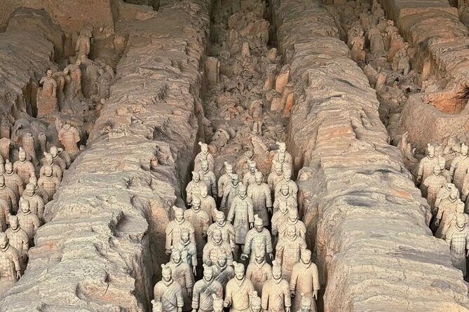 Half day tour to Terracotta Warriors Museum with Biangbiang Noodle lunch - Good To Know