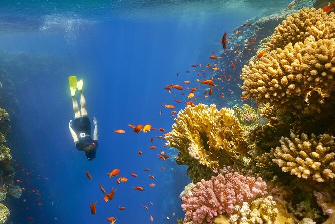 Half Day Tour to the Blue Hole With Snorkeling - Good To Know