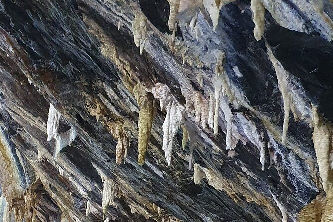 Half Day Tour to the Caves - Expert Guides