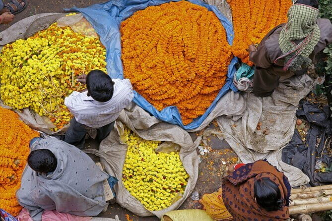 Half Day Tour to the Flower Market and Howrah Bridge in Kolkata - Good To Know