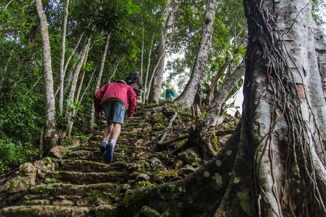 Half Day Tour to the Heart of Maya Civilization in Belize - Local Cuisine Sampling