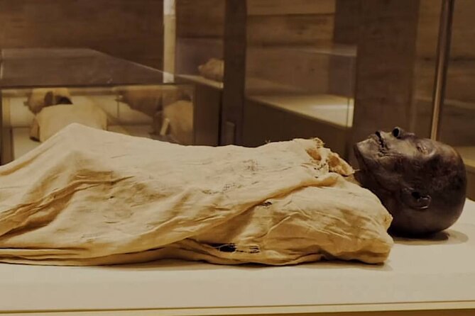 Half Day Tour To The National Museum of Egyptian Civilization - Reviews and Ratings