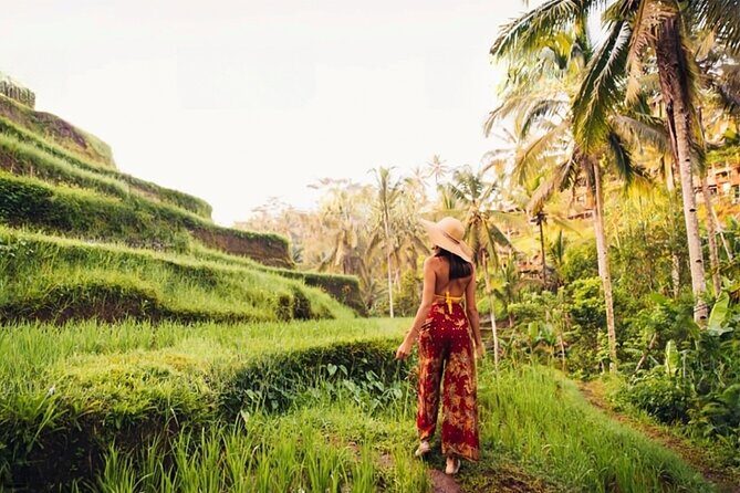 Half Day Tour Ubud Rice Terrace with Activities and Waterfall - Good To Know