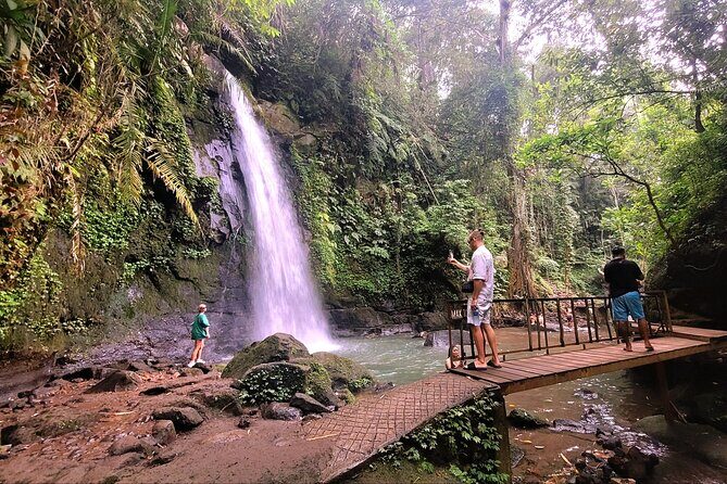 Half Day Tour Ubud Rice Terrace with Activities and Waterfall - An In-Depth Look at the Tour Experience