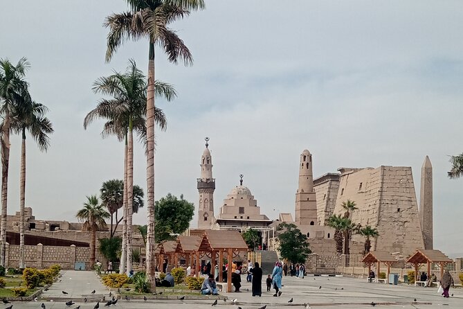 Half-Day Tour Visiting Karnak Temple & Luxor Temple - What to Expect During the Tour