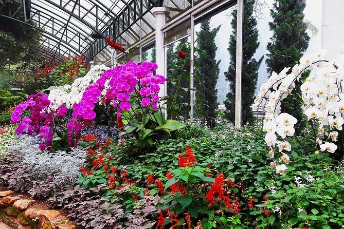 Half Day Tour : Wat Doi Suthep & Phu Ping Palace From Chiang Mai - Booking and Pricing