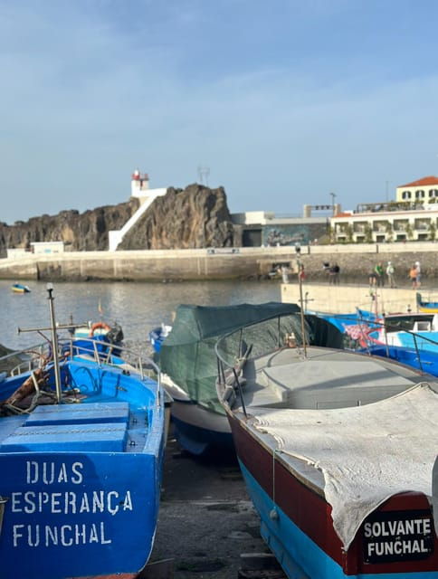 Half Day tour with Madeira Wine tasting - An In-Depth Look at the Madeira Jeep & Wine Experience