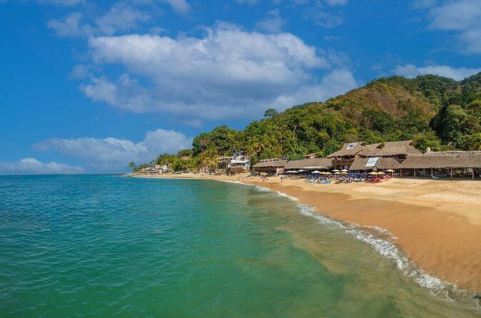 Half Day Tour with Snorkeling in Colomitos and Playa las Animas - Final Thoughts: Is This Tour Worth Your Time?