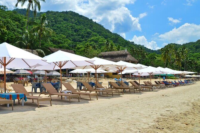 Half Day Tour with Snorkeling in Colomitos and Playa las Animas - Frequently Asked Questions