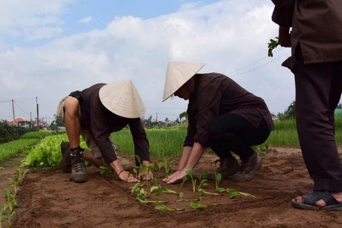 Half -Day Tra Que Herbal Village Tour From Hoi an - Pricing and Booking Information