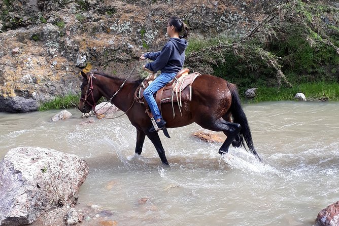 Half Day Trail Riding in San Miguel De Allende - Safety Measures and Precautions