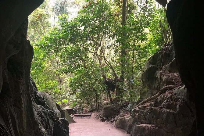 Half Day Trekking Cat Ba National Park - Tips for a Successful Half-Day Trek