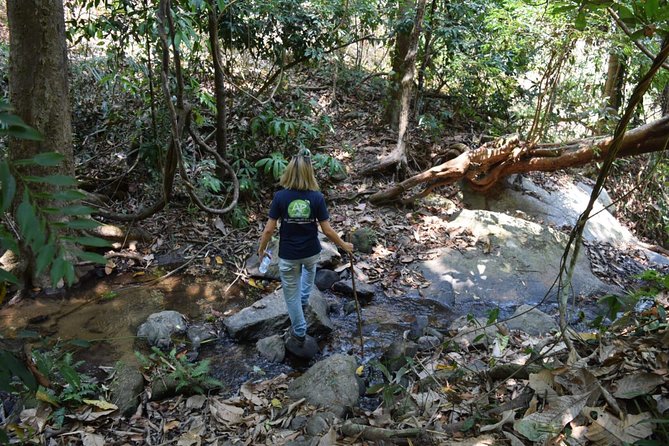 Half Day Trekking Doi Suthep - Pui National Park Area (Private Tour) - Scenic Highlights: Mon Tha Than Waterfall and Green Forest