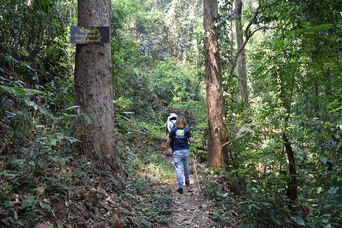 Half Day Trekking Doi Suthep - Pui National Park Area (Private Tour) - Flexibility and Personalization at Your Own Pace