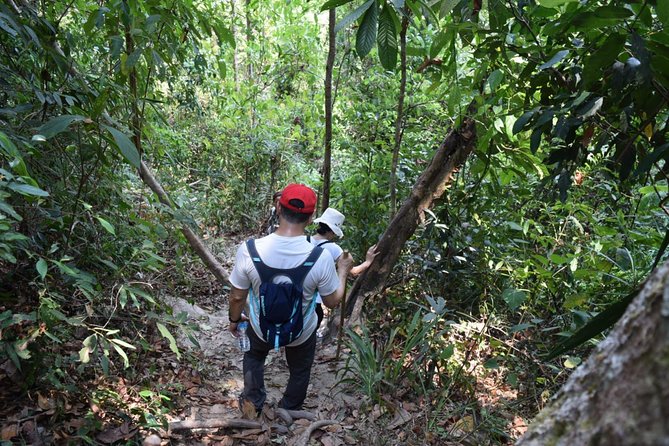 Half Day Trekking Doi Suthep - Pui National Park Area (Private Tour) - Duration and Admission Ticket Information