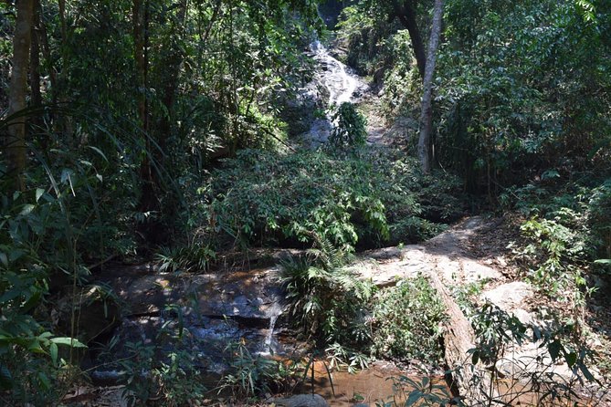 Half Day Trekking Doi Suthep - Pui National Park Area (Private Tour) - Common Questions