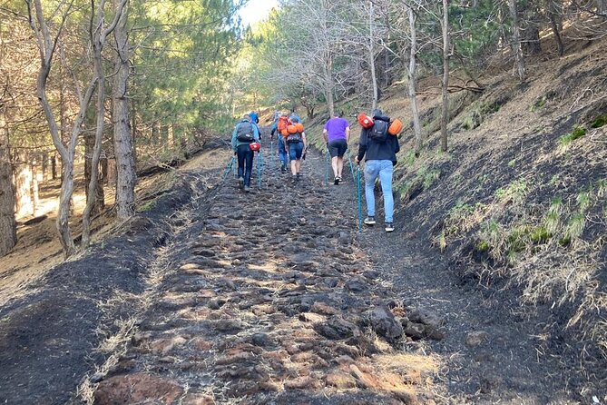 Half Day Trekking Tour on Etna - Cancellation Policy