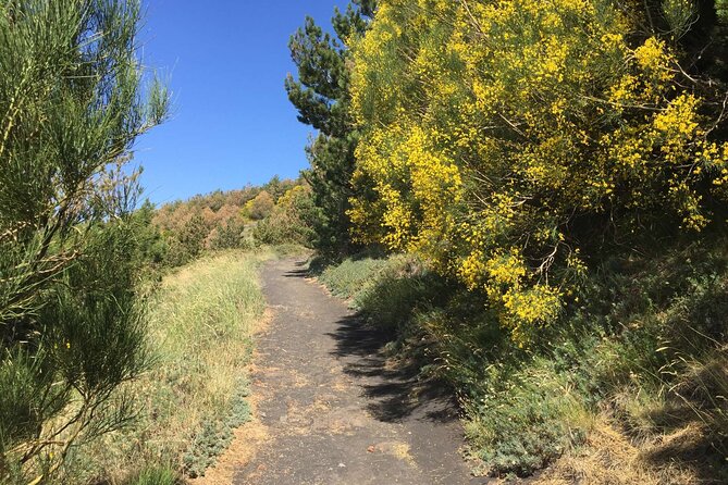 Half Day Trekking Tour on Etna - Background