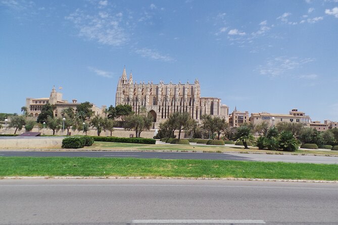 Half Day Trike Tour From Paguera - Reviews and Ratings