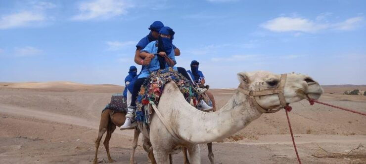 Half Day Trip Atlas Mountains With Dinner & Show - Inclusions