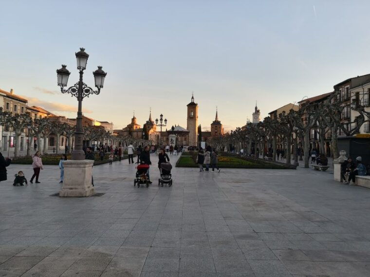 Half-Day Trip From Madrid: Alcalá De Henares & Winery Visit - Returning to Madrid