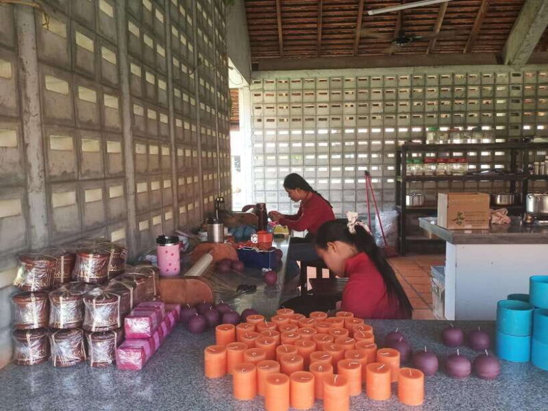 Half Day Trip: Silk Farm, Satcha, and Senteur d'Angkor Tour - Authentic Feedback From Visitors