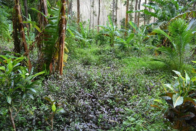 Half-Day Trip to Blue Lagoon at Klong Sra Kaew With Kayaking & ATV - Common Questions