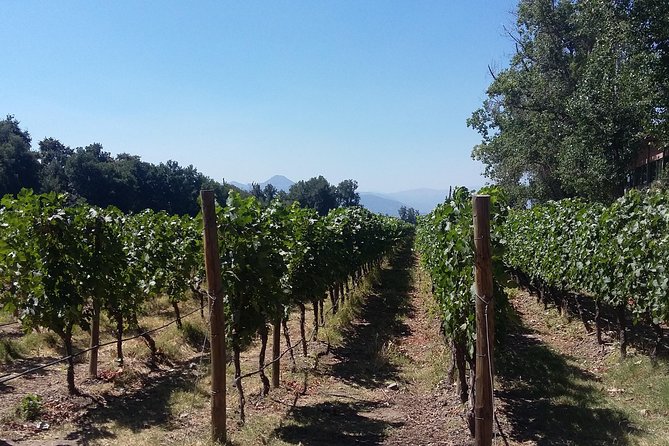 Half Day Trip to Cousiño Macul Vineyard From Santiago - Wine Tasting Included - Pricing and Booking Information