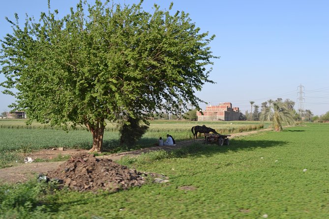 Half-Day Trip to Egyptian Green Farm From Cairo With Breakfast - Egyptologist Guide and Photographer