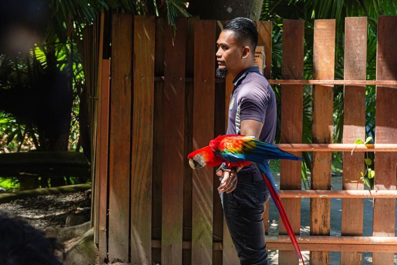 Half-Day Trip to Lok Kawi Wildlife Park Sabah - Seeing Animals in the Zoological Area