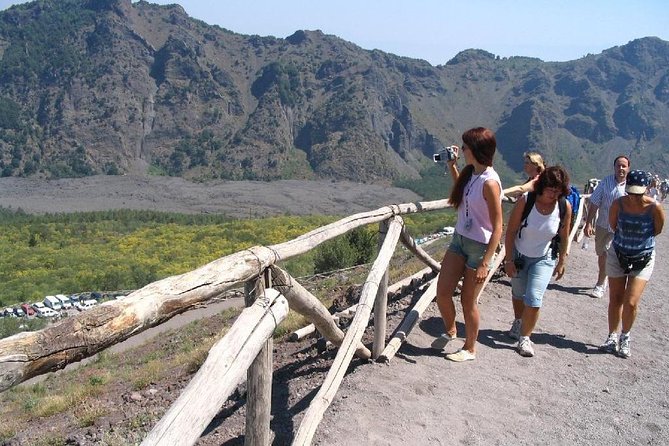 Half-Day Trip to Mt. Vesuvius From Naples - Pricing and Booking