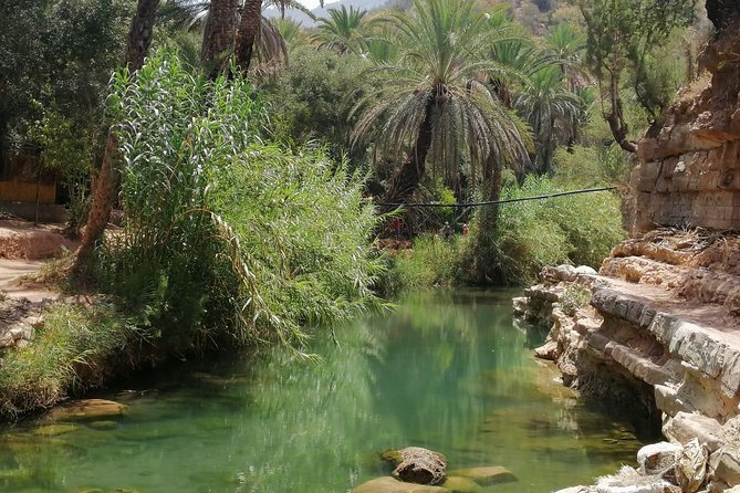Half Day Trip to Paradise Valley From Agadir - Whats Included in the Package