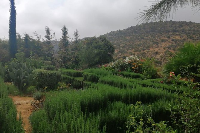 Half Day Trip to Paradise Valley From Agadir - Pricing and Reservation Options