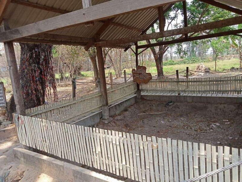 Half Day Trip to S21 Prison Genocidal Museum & Killing Field - Good To Know