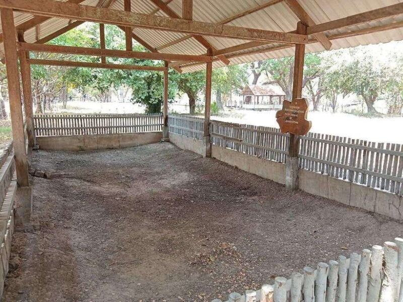 Half Day Trip to S21 Prison Genocidal Museum & Killing Field - Accessibility & Logistics