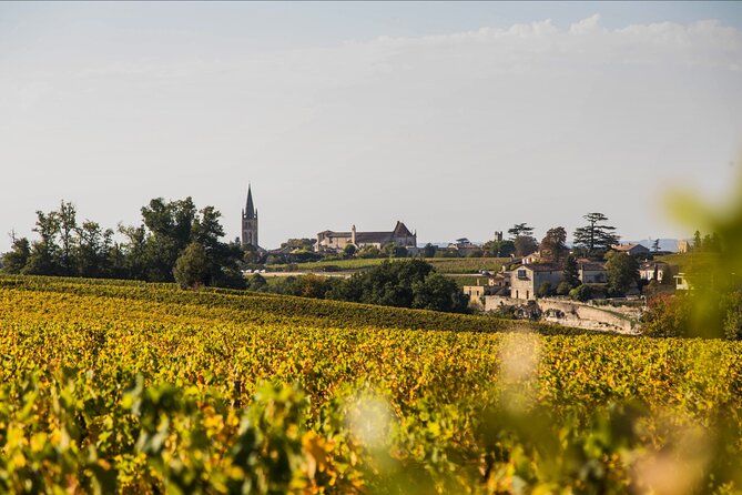 Half-Day Trip to Saint-Emilion From Bordeaux - Return to Bordeaux With Fond Memories
