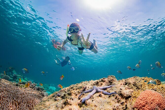 Half day Tropical Coral Island Snorkeling Tour from Phuket - Introduction