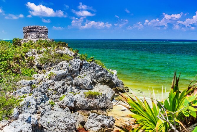 Half-Day Tulum Mayan Temples Tour With Skip-The-Line Access - Positive Feedback and Customer Testimonials